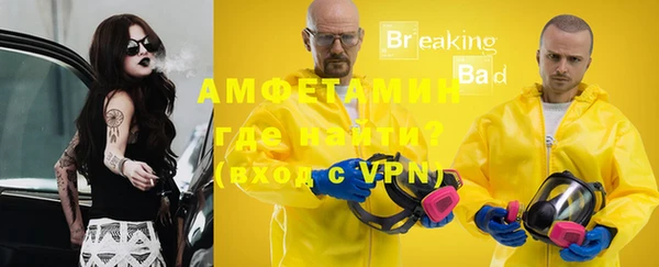 ГАЛЛЮЦИНОГЕННЫЕ ГРИБЫ Аркадак