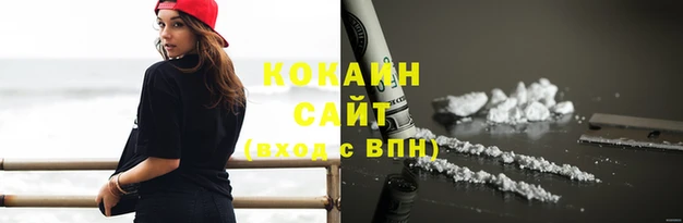 ГАЛЛЮЦИНОГЕННЫЕ ГРИБЫ Аркадак