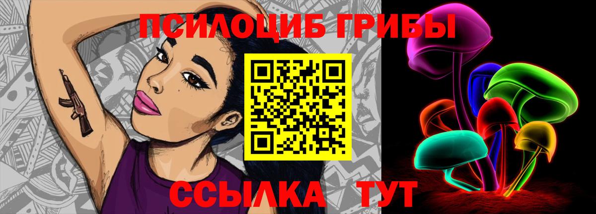 Псилоцибиновые грибы Psilocybe Минусинск
